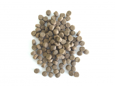 Bellfor PREMIUM PUR VitalPlus - glutenfrei (10 kg)